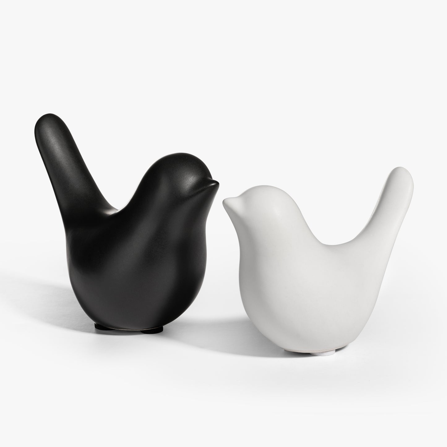 Shadow and Light | Still Companions