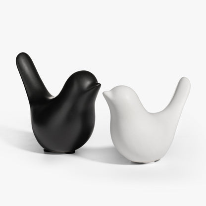 Shadow and Light | Still Companions